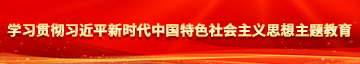 插插大骚逼视频学习贯彻习近平新时代中国特色社会主义思想主题教育